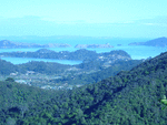 0005 Manaia Coromandel_thumb.gif